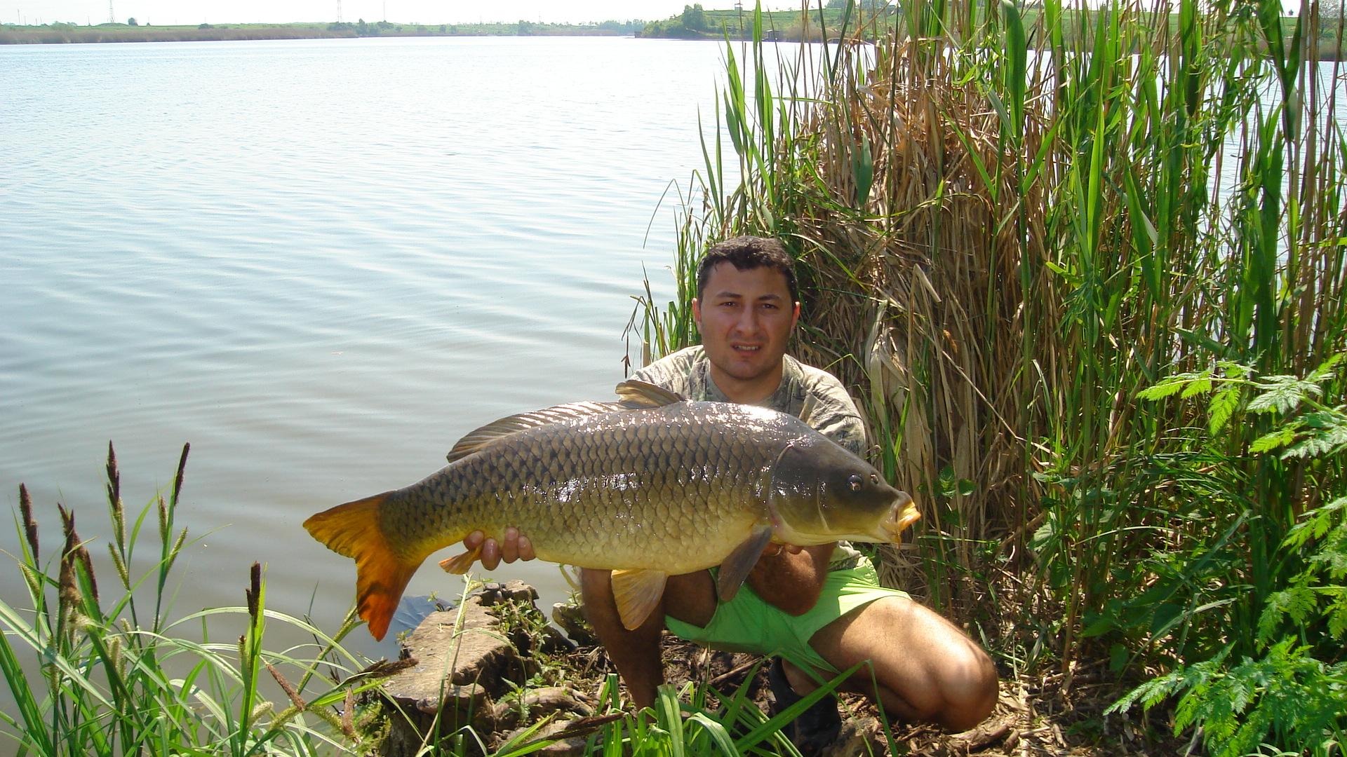 Tancabesti - dsc03288.JPG